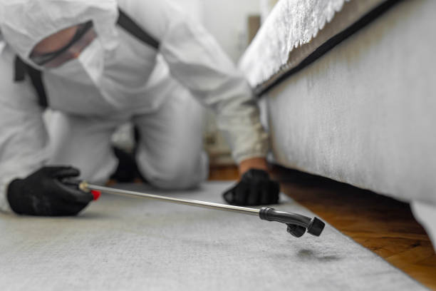 Professional Pest Control technician working in Pinardville, NH